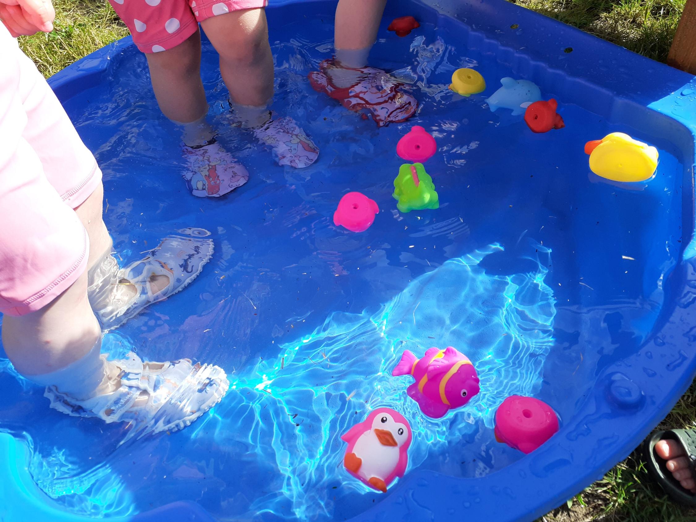 Plantschbecken mit Wassertieren